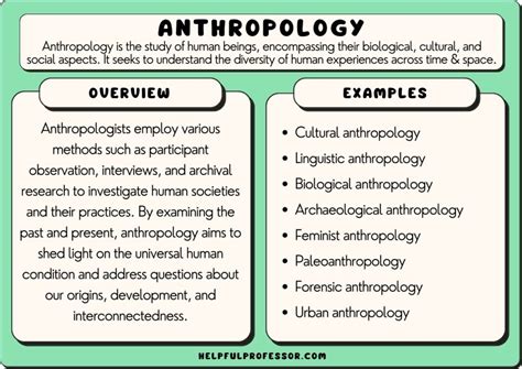 Anthropology Internships Summer 2024: Uncover a World of Cultural Exploration