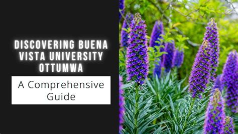 Buena Vista University Cost: A Comprehensive Guide for Prospective Students