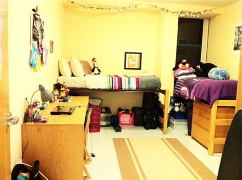 USF Dorm Rates: Everything You Need to Know