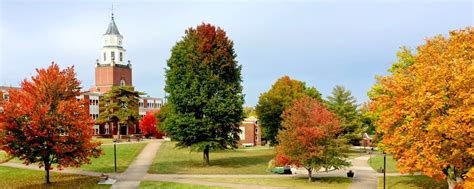 SIU Carbondale Careers: Embark on a Journey of Opportunity