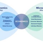 AP Macro vs. Micro: A Comprehensive Comparison Guide for Economics Students