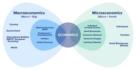 AP Macro vs. Micro: A Comprehensive Comparison Guide for Economics Students