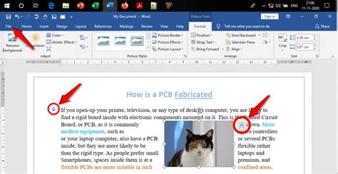 How to Get Rid of Anchors in Microsoft Word: A Step-by-Step Guide