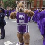 New York University Bobcat: A Comprehensive Guide