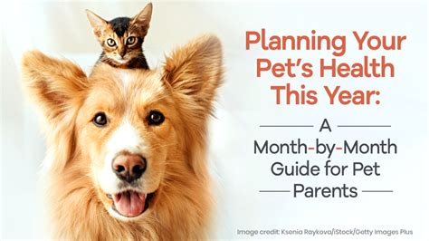 Veterinarians in Eastman, GA: Your Comprehensive Guide to Pet Health Experts
