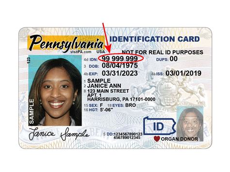 Where is My Bowdoin ID Number?
