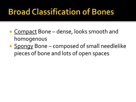 Thin Broad Bones: A Comprehensive Classification