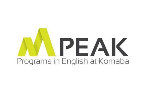 What Do You Learn in the PEAK UTokyo Program?