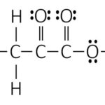 CH3CH2COOH Lewis Structure: A Comprehensive Guide