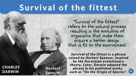 Survival of the Fittest: An Enduring Principle in AP Psychology