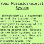 Fundamentals of Anatomy and Physiology: Unraveling the Tapestry of Life The Skeletal System: A Framework for Movement The Muscular System: Powering Movement The Respiratory System: The Breath of Life The Circulatory System: The River of Life The Nervous System: The Master Conductor