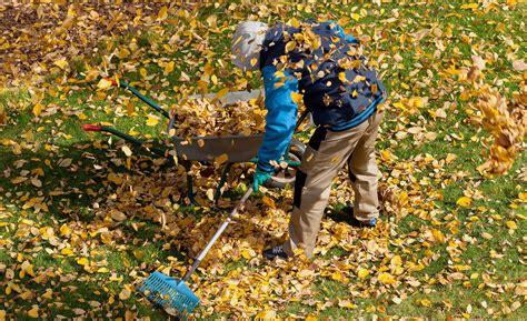 What Education is Needed for a Groundskeeper?