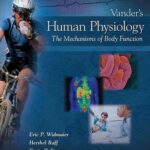 Human Physiology: An Exploration of the Body’s Intricate Functions