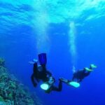 International Diving Institute SC: Your Gateway to Underwater Exploration