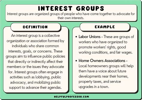 Interest Groups Examples in AO Gov: The Ultimate Guide to Advocacy and Influence