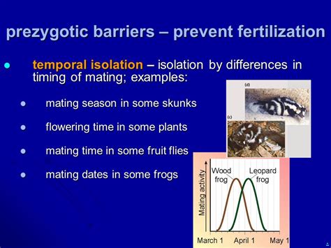 Example of a Prezygotic Barrier: Differences in Mating Behavior