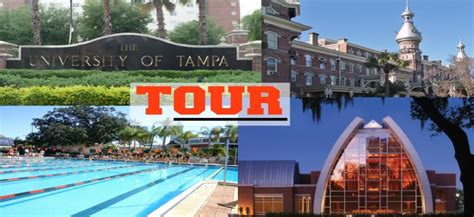 Tampa Everest University: A Comprehensive Guide to Higher Education in the Heart of Florida