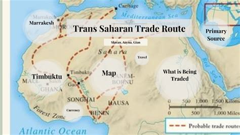 Trans-Saharan Trade: A Lifeline of Commerce and Culture Across the Sahara