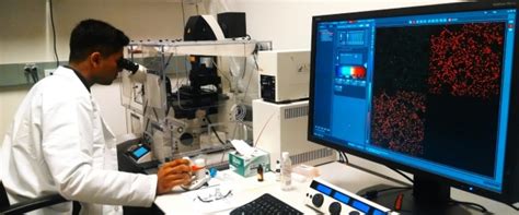 SIMR Summer Program: A Gateway to Innovation and Entrepreneurship in the Digital Age
