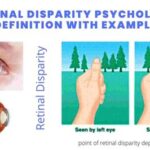 Retinal Disparity: The Key to Depth Perception Tables