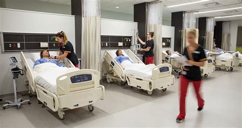University of Tampa Nursing: A Path to Excellence in Healthcare