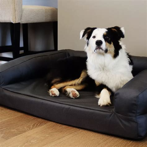Best Dog Beds for Chewers: Your Guide to Ultimate Pet Comfort and Durability