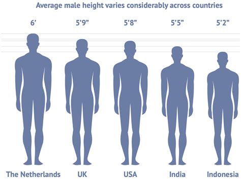 Is 6’1 Tall?