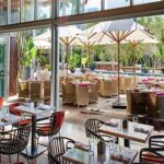 Vegan Miami: A Culinary Oasis for Plant-Based Indulgence Vegan Restaurants in Miami by Cuisine Vegan-Friendly Attractions in Miami Tips for a Vegan Vacation in Miami Health Benefits of a Vegan Diet