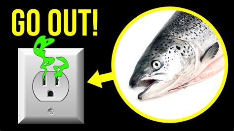 Fish Smell in Bathroom: An Odorous Dilemma Tables