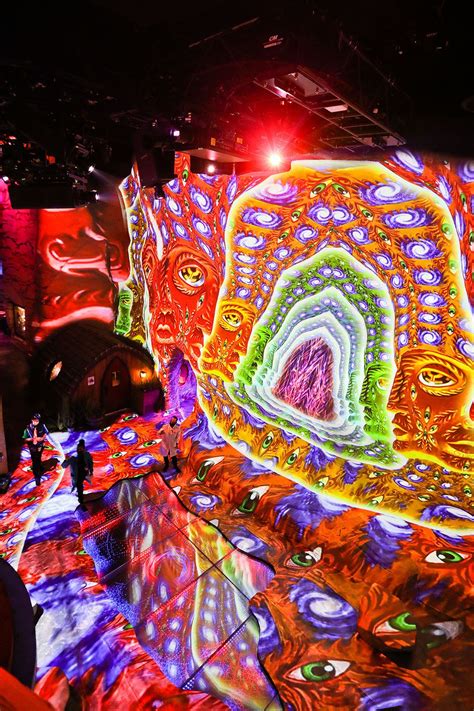 Meow Wolf Careers: Immerse Yourself in Art and Technology