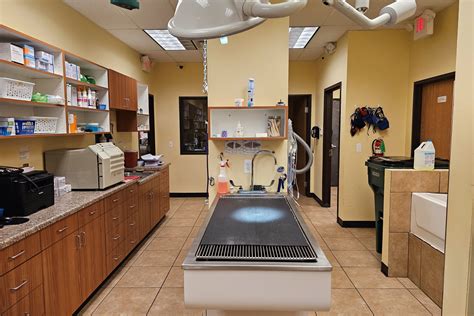 Troy Heights Animal Hospital: A Trusted Oasis for Animal Care
