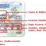 Original Issue Date vs. Current Issue Date: Understanding the Differences in Driver’s Licenses