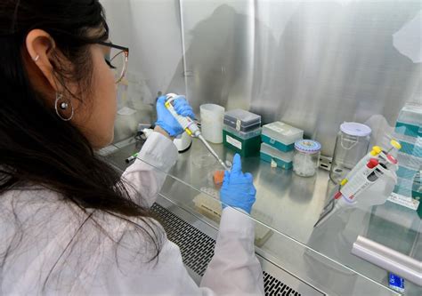 Top Pharmacy Schools in the US: Embark on a Path of Pharmaceutical Excellence