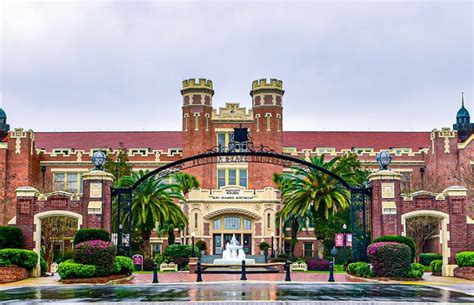 FSU Honors Application: A Comprehensive Guide to Distinction