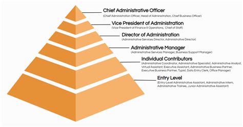 Career Path for an Administrative Service Manager: From Entry-Level to Executive Roles