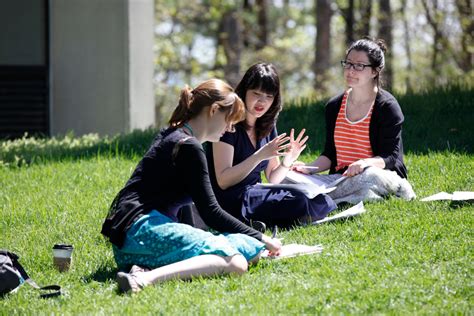 Brandeis Summer Courses: Uncover Limitless Learning Opportunities