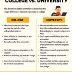 What is the Difference Between a University and a College?