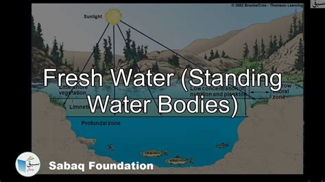 Major Characteristics of Standing Water Benefits of Standing Water Bodies Applications in Various Fields