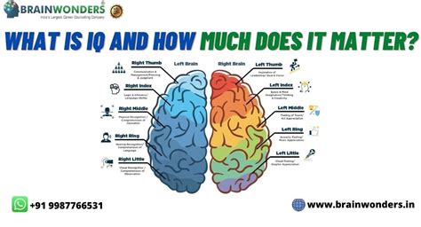 IQ Test Cerebrum: Exploring the Brain’s Intelligence Hub