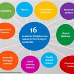 Division of General Studies: A Comprehensive Guide to Academic Fields