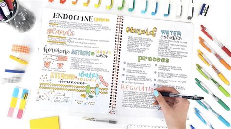 One Subject Notebooks: The Ultimate Guide to Simple and Effective Note-Taking