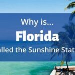 Florida Sunshine State Science Standards: A Comprehensive Guide