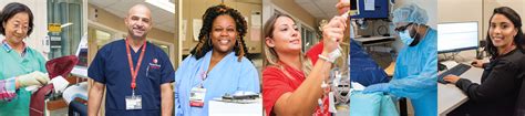 Jobs at Stony Brook University: Discover a World of Opportunities