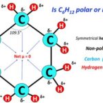 Is Cyclohexane Polar?