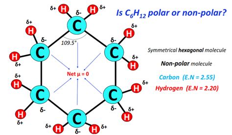 Is Cyclohexane Polar?