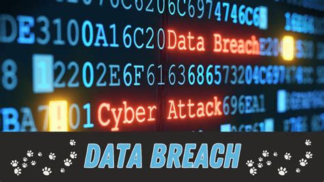 Maya B Leaked: Uncovering the Impact of a Devastating Data Breach