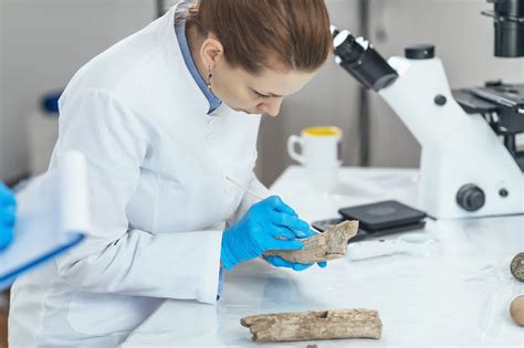 Forensic Anthropologist: A Career in the Fascinating World of Human Remains