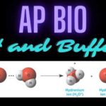 AP Biology: pH and Buffer Lab