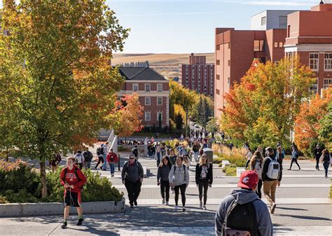 Discover Pullman, WA: Your Gateway to Washington State University through its Zip Code