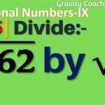 162 Divided by Two: Unlocking a World of Possibilities